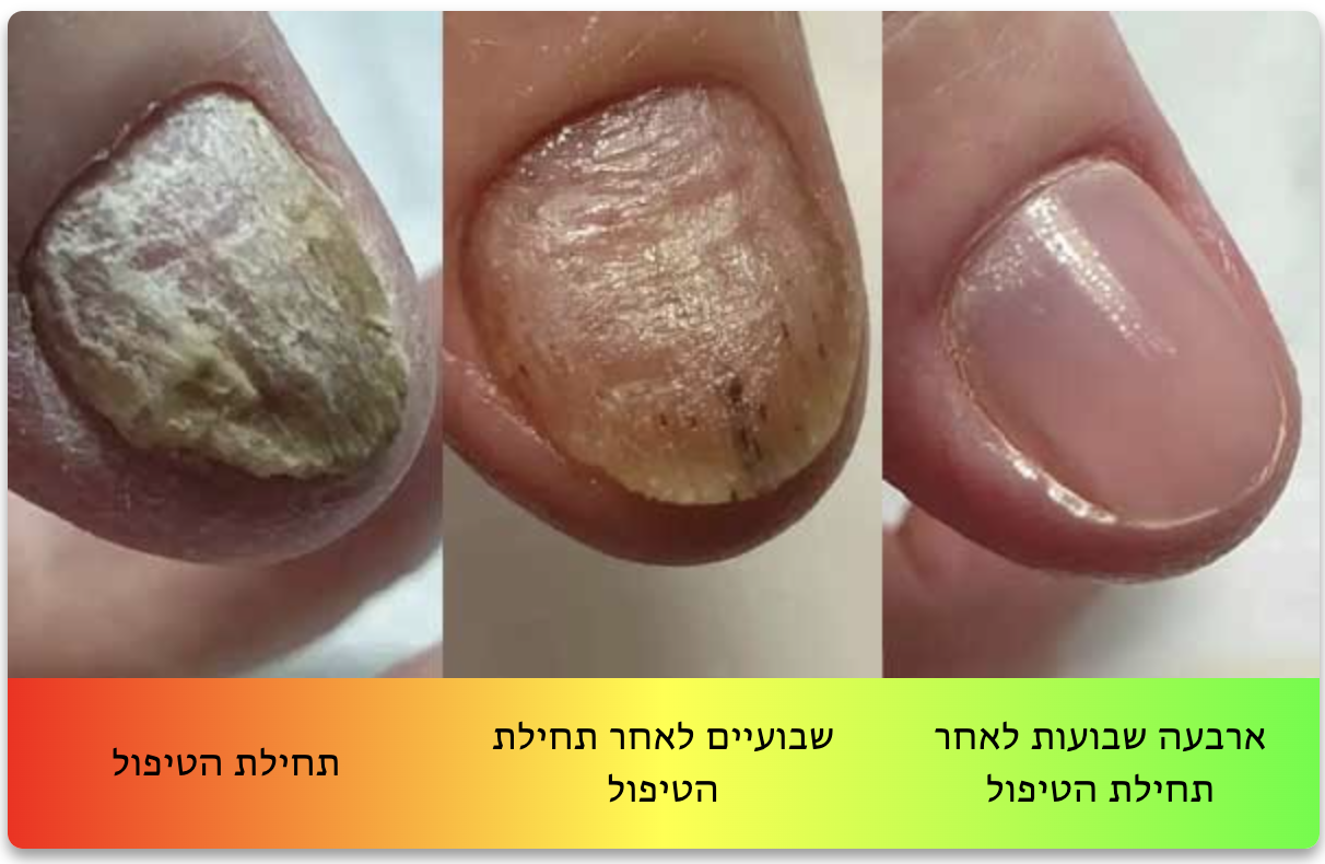 Screenshot 2025-01-04 at 22.12.18 Screenshot 2025-01-04 at 22.12.18