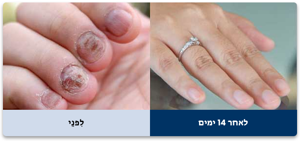 Screenshot 2025-01-05 at 12.07.44 Screenshot 2025-01-05 at 12.07.44