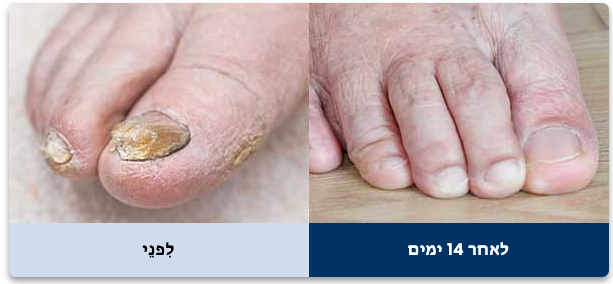 Screenshot 2025-01-05 at 12.07.51 Screenshot 2025-01-05 at 12.07.51