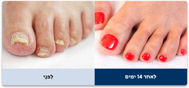 Screenshot 2025-01-05 at 12.07.56 Screenshot 2025-01-05 at 12.07.56