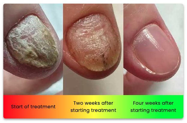 Screenshot 2025-01-21 at 22.50.27