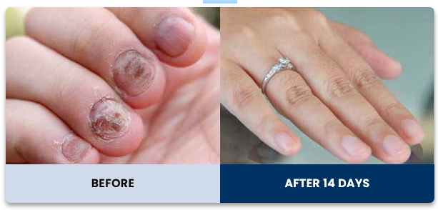 Screenshot 2025-01-21 at 22.52.49