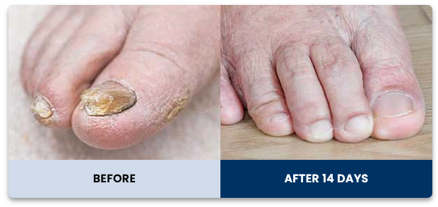 Screenshot 2025-01-21 at 22.52.54