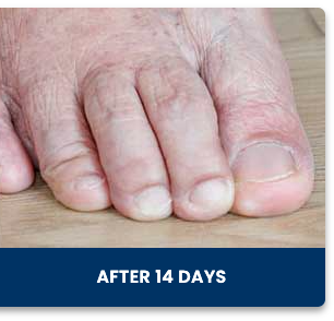 Screenshot-2025-01-21-at-22.52.54