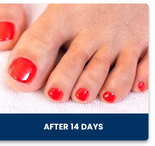 Screenshot-2025-01-21-at-22.52.59